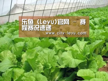 种植基地一