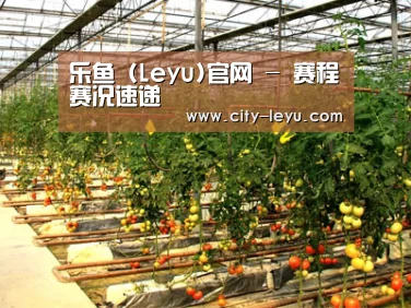 种植基地二