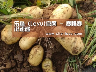 种植基地六