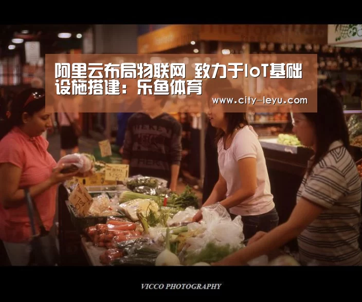阿里云布局物联网 致力于IoT基础设施搭建：乐鱼体育(图3)