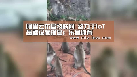 阿里云布局物联网 致力于IoT基础设施搭建：乐鱼体育(图4)