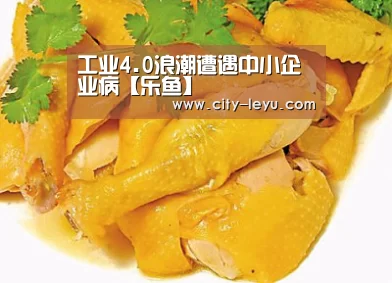 工业4.0浪潮遭遇中小企业病【乐鱼】(图1) 工业4.0浪潮遭遇中小企业病【乐鱼】(图1)