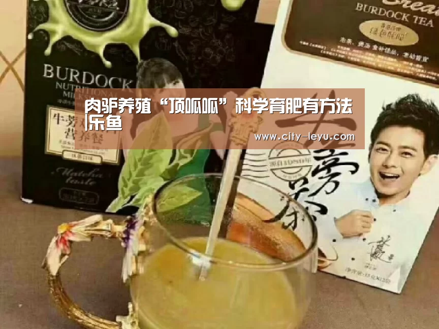 肉驴养殖“顶呱呱”科学育肥有方法|乐鱼(图2) 肉驴养殖“顶呱呱”科学育肥有方法|乐鱼(图2)