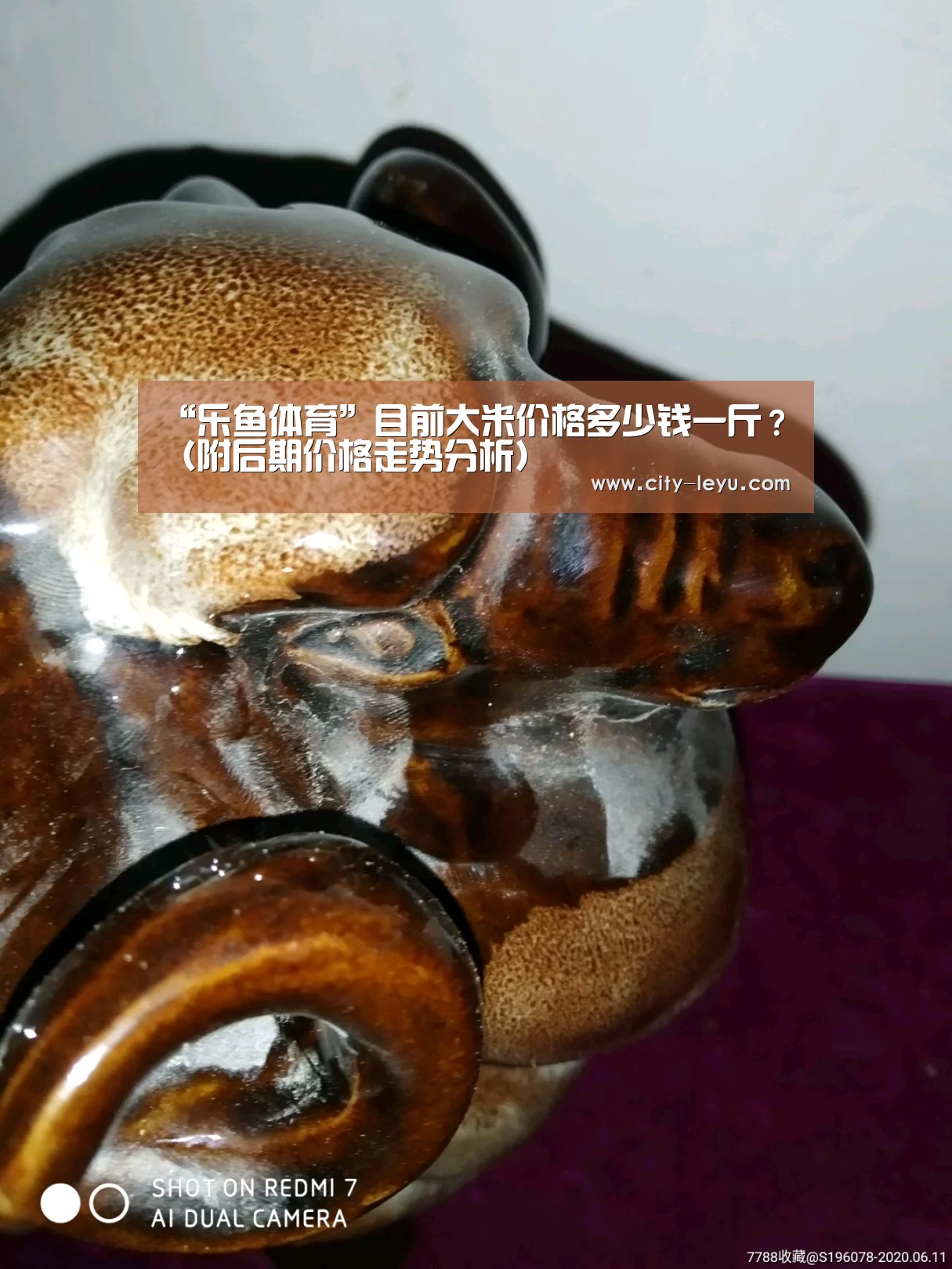 乐鱼体育